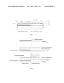 TRANSFLECTIVE TFT-LCD AND METHOD FOR MANUFACTURING THE SAME diagram and image