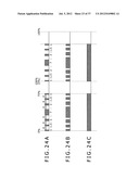 LIGHT EMITTING PERIOD SETTING METHOD, DRIVING METHOD FOR DISPLAY PANEL,     DRIVING METHOD FOR BACKLIGHT, LIGHT EMITTING PERIOD SETTING APPARATUS,     SEMICONDUCTOR DEVICE, DISPLAY PANEL AND ELECTRONIC APPARATUS diagram and image