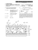 Reflective Polymer Dispersed Liquid Crystal Display Device diagram and image