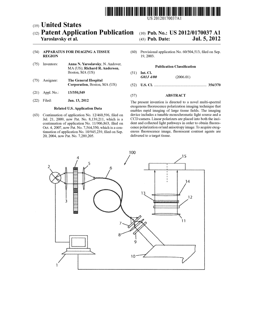 Apparatus for imaging a tissue region - diagram, schematic, and image 01