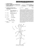 METHOD AND APPARATUS FOR IDENTIFYING THE ORIENTATION OF WOOD FIBRES diagram and image