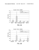 COMPOSITIONS COMPRISING AMNION DERIVED ADHERENT CELLS AND PLATELET-RICH     PLASMA diagram and image