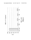 COMPOSITIONS COMPRISING AMNION DERIVED ADHERENT CELLS AND PLATELET-RICH     PLASMA diagram and image