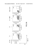 COMPOSITIONS COMPRISING AMNION DERIVED ADHERENT CELLS AND PLATELET-RICH     PLASMA diagram and image