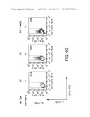 COMPOSITIONS COMPRISING AMNION DERIVED ADHERENT CELLS AND PLATELET-RICH     PLASMA diagram and image