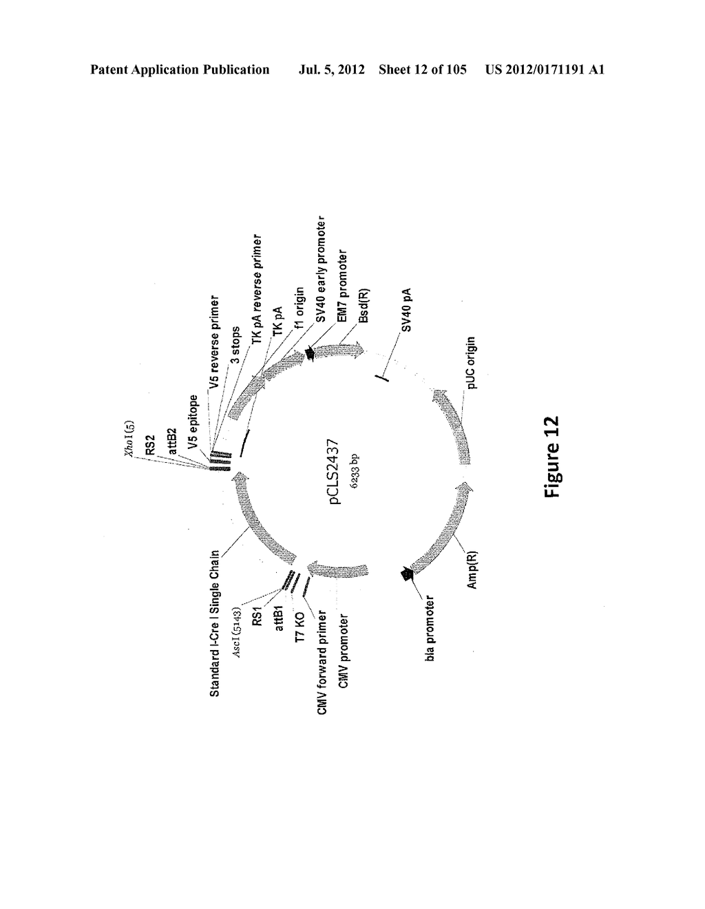 MEGANUCLEASE VARIANTS CLEAVING THE GENOME OF A PATHOGENIC NON-INTEGRATING     VIRUS AND USES THEREOF - diagram, schematic, and image 13