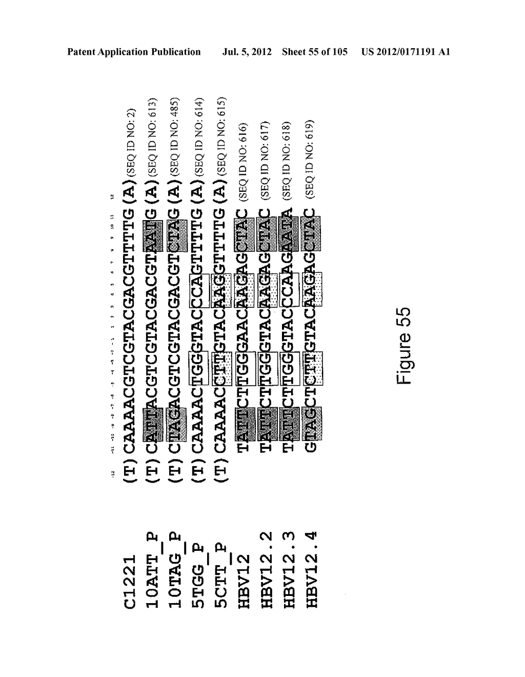 MEGANUCLEASE VARIANTS CLEAVING THE GENOME OF A PATHOGENIC NON-INTEGRATING     VIRUS AND USES THEREOF - diagram, schematic, and image 56