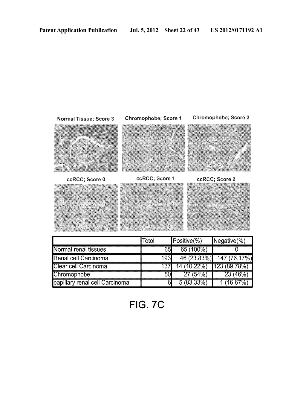 METHODS AND MATERIALS FOR MODULATING DEUBIQUITINASES AND UBIQUITINATED     POLYPEPTIDES - diagram, schematic, and image 23