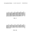 COMPOSITIONS AND METHODS FOR THE TREATMENT AND DIAGNOSIS OF IMMUNE     DISORDERS diagram and image