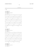 COMPOSITIONS AND METHODS FOR THE TREATMENT AND DIAGNOSIS OF IMMUNE     DISORDERS diagram and image