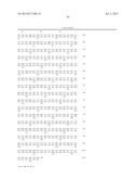 COMPOSITIONS AND METHODS FOR THE TREATMENT AND DIAGNOSIS OF IMMUNE     DISORDERS diagram and image