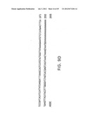 COMPOSITIONS AND METHODS FOR THE TREATMENT AND DIAGNOSIS OF IMMUNE     DISORDERS diagram and image