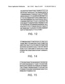 COMPOSITIONS AND METHODS FOR THE TREATMENT AND DIAGNOSIS OF IMMUNE     DISORDERS diagram and image