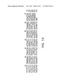 COMPOSITIONS AND METHODS FOR THE TREATMENT AND DIAGNOSIS OF IMMUNE     DISORDERS diagram and image