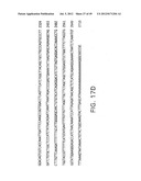 COMPOSITIONS AND METHODS FOR THE TREATMENT AND DIAGNOSIS OF IMMUNE     DISORDERS diagram and image