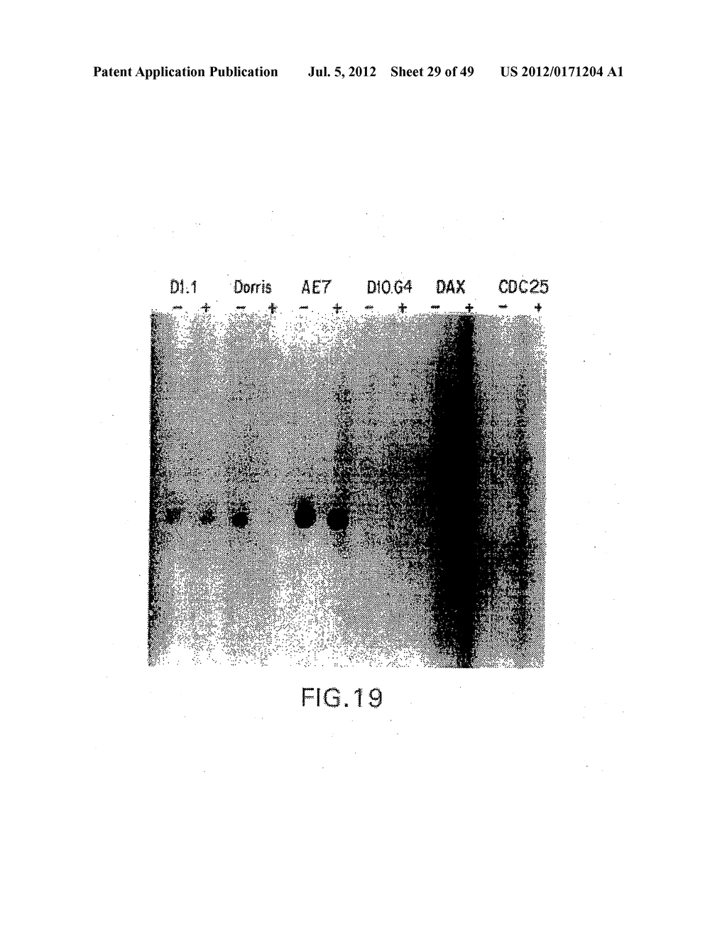 COMPOSITIONS AND METHODS FOR THE TREATMENT AND DIAGNOSIS OF IMMUNE     DISORDERS - diagram, schematic, and image 30