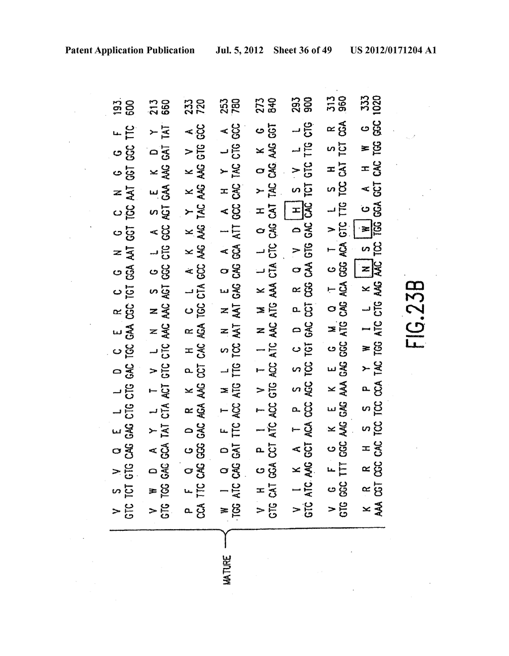 COMPOSITIONS AND METHODS FOR THE TREATMENT AND DIAGNOSIS OF IMMUNE     DISORDERS - diagram, schematic, and image 37