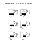 COMPOSITIONS AND METHODS FOR THE TREATMENT AND DIAGNOSIS OF IMMUNE     DISORDERS diagram and image