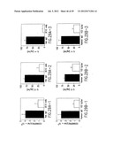 COMPOSITIONS AND METHODS FOR THE TREATMENT AND DIAGNOSIS OF IMMUNE     DISORDERS diagram and image