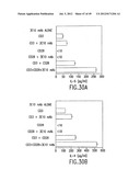 COMPOSITIONS AND METHODS FOR THE TREATMENT AND DIAGNOSIS OF IMMUNE     DISORDERS diagram and image