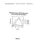 COMPOSITIONS AND METHODS FOR THE TREATMENT AND DIAGNOSIS OF IMMUNE     DISORDERS diagram and image