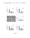 METHODS OF STIMULATING LIVER REGENERATION diagram and image