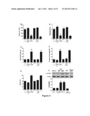 METHODS OF STIMULATING LIVER REGENERATION diagram and image