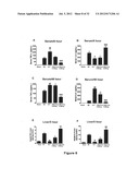 METHODS OF STIMULATING LIVER REGENERATION diagram and image