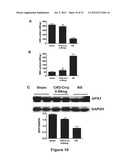 METHODS OF STIMULATING LIVER REGENERATION diagram and image