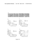 METHODS OF STIMULATING LIVER REGENERATION diagram and image