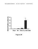 METHODS OF STIMULATING LIVER REGENERATION diagram and image