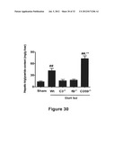 METHODS OF STIMULATING LIVER REGENERATION diagram and image