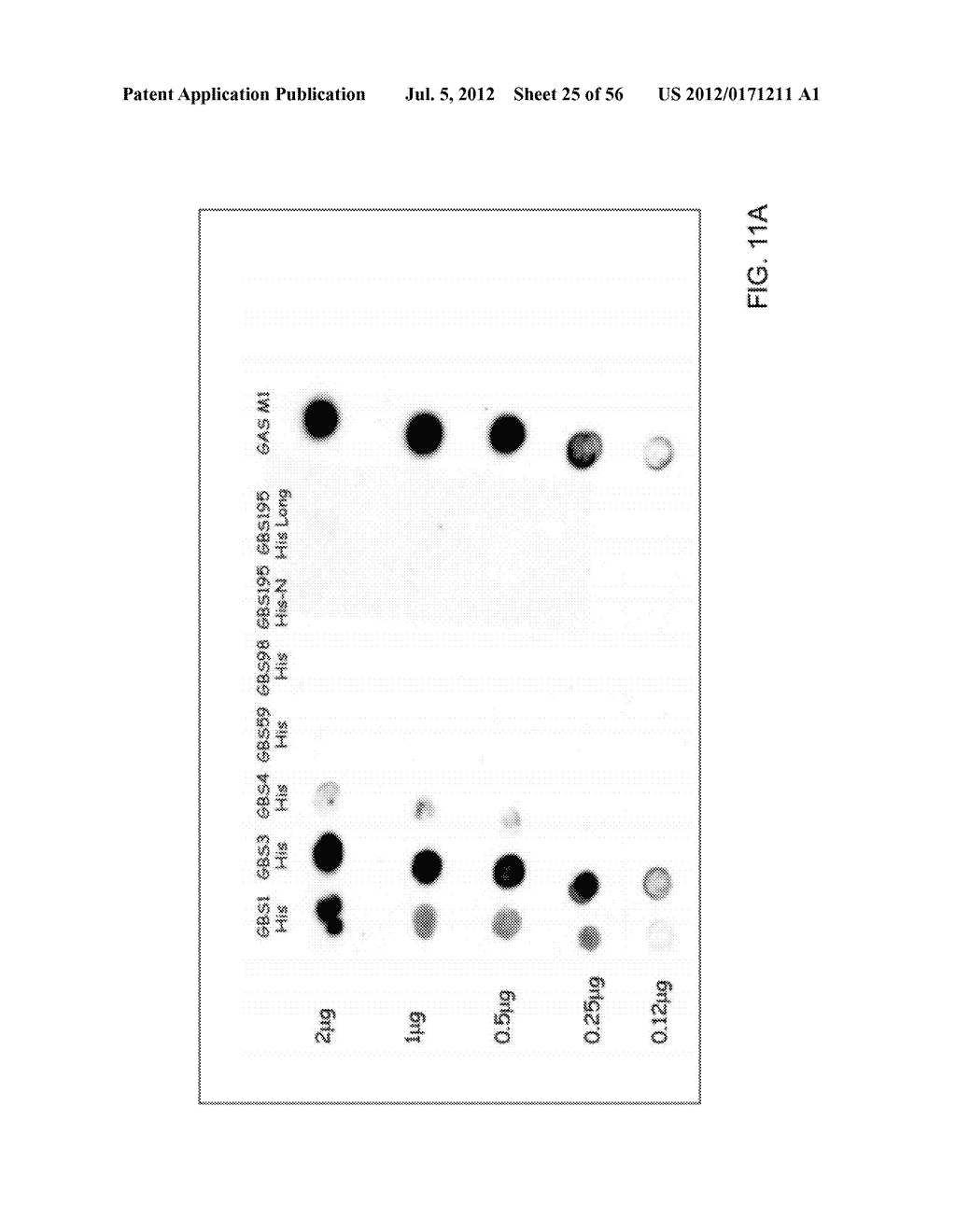 SERUM RESISTANCE FACTORS OF GRAM POSITIVE BACTERIA - diagram, schematic, and image 26