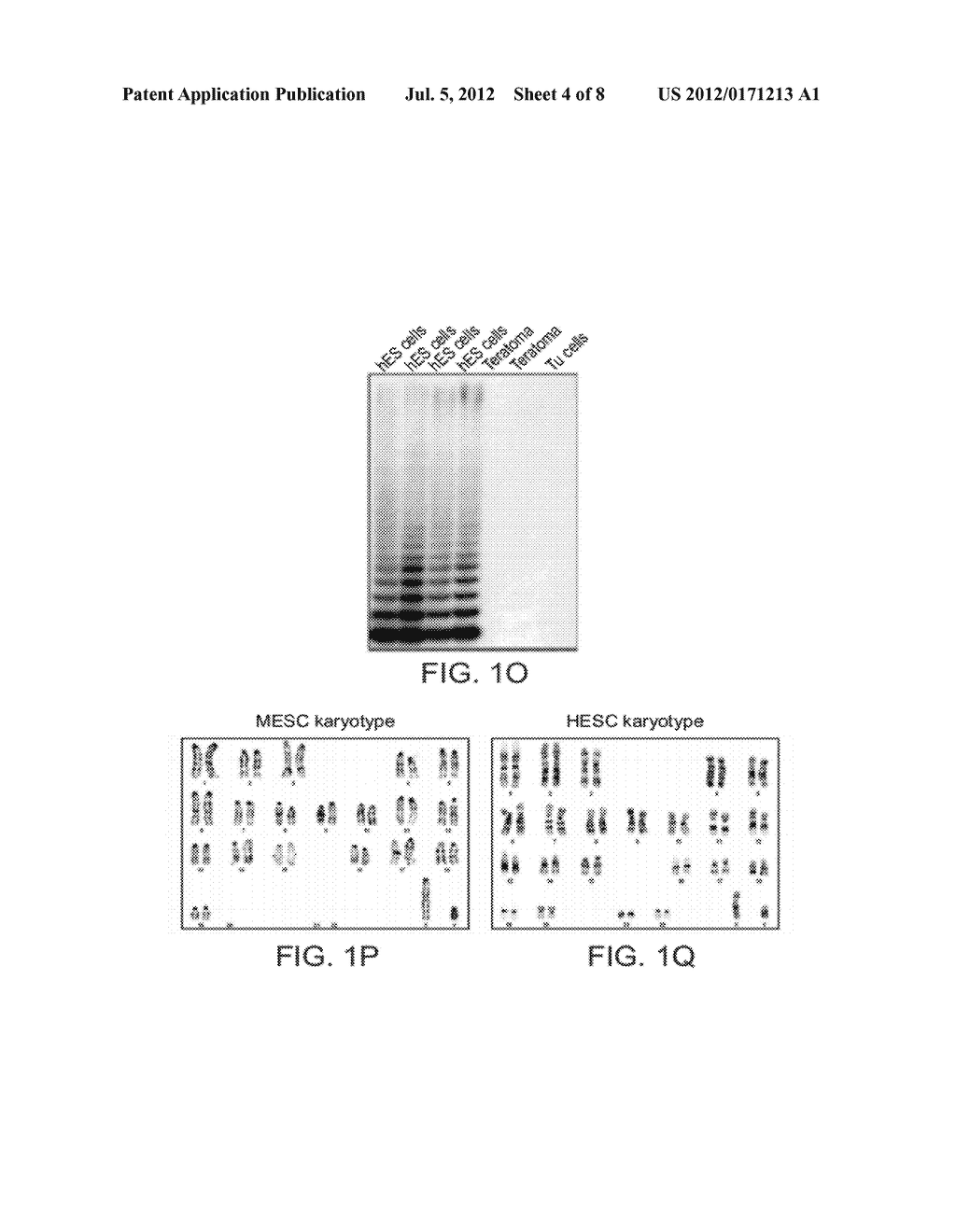 METHOD OF TREATING TUMORS - diagram, schematic, and image 05