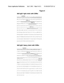 NOGO-A BINDING MOLECULES AND PHARMACEUTICAL USE THEREOF diagram and image