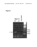 NOGO-A BINDING MOLECULES AND PHARMACEUTICAL USE THEREOF diagram and image