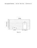 Monoclonal Antibodies Against ANGPTL4 diagram and image