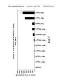 ANTI-CANCER REGIMEN diagram and image