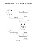 MARKERS OF XMRV INFECTION AND USES THEREOF diagram and image