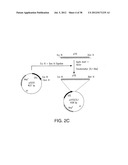 MARKERS OF XMRV INFECTION AND USES THEREOF diagram and image