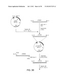 MARKERS OF XMRV INFECTION AND USES THEREOF diagram and image