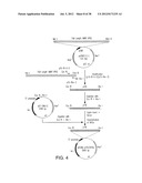 MARKERS OF XMRV INFECTION AND USES THEREOF diagram and image