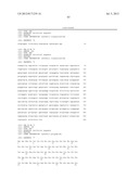 MARKERS OF XMRV INFECTION AND USES THEREOF diagram and image