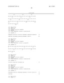 MARKERS OF XMRV INFECTION AND USES THEREOF diagram and image