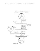 MARKERS OF XMRV INFECTION AND USES THEREOF diagram and image