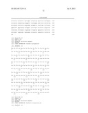 MARKERS OF XMRV INFECTION AND USES THEREOF diagram and image