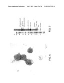 MARKERS OF XMRV INFECTION AND USES THEREOF diagram and image