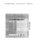 MARKERS OF XMRV INFECTION AND USES THEREOF diagram and image