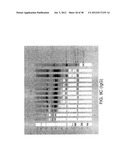 MARKERS OF XMRV INFECTION AND USES THEREOF diagram and image