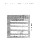 MARKERS OF XMRV INFECTION AND USES THEREOF diagram and image